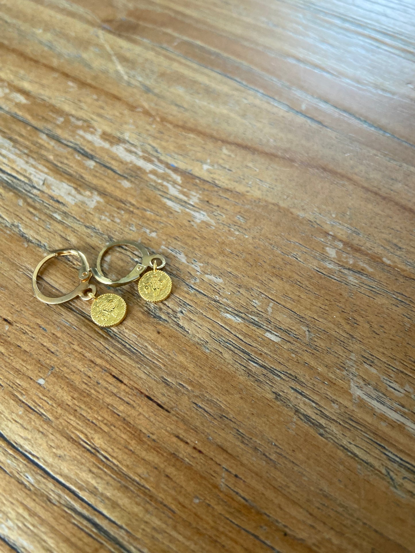 Oorbel coins