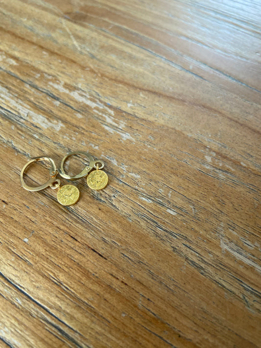 Oorbel coins